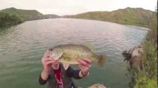 Fischer Ferien am Ebro Stausee  fishing on Black Bass and Catfish [upl. by Lari798]