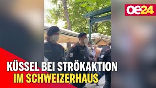 Küssel bei Störaktion im Schweizerhaus [upl. by Anivle]