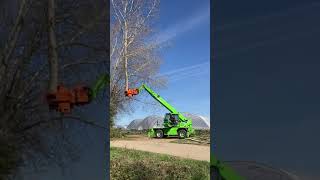 Merlo Roto Telehandler with grapple saw tree cutting [upl. by Ayot584]