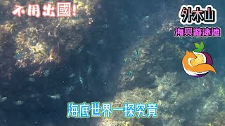 『基隆景點』夏季玩水嗨翻天 不用出國 浮淺豐富海底世界一探究竟  外木山海興游泳池 new 旅行 海興游泳池 基隆景點 外木山 keelung travel [upl. by Sualohcin75]