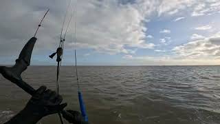 Kitesurfing Southend on Sea 080123 [upl. by Hakim]