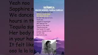 Shawn Mendes Camila Cabello  Señorita Lyrics shorts [upl. by Atsyrt]