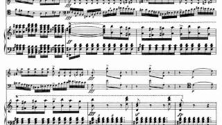 Schubert  Piano Trio in Eflat D929  II Andante con moto with score [upl. by Elleraj]