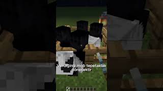 Minecraft da acayip isim etiketi minecraft gaming memes oyun [upl. by Tillford]