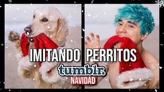 IMITANDO FOTOS DE PERRITOS TUMBLR NAVIDEÑAS I TIAGO SARMIENTO [upl. by Alamak]