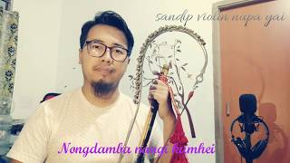 Nongdamba nangi kumhei se  pena instrumental [upl. by Hardy]