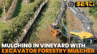 MULCHING GRASS AND TREES IN A VINEYARD  BERTI TBMSB [upl. by Leverett]