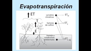 Clase 6 B Evapotranspitación [upl. by Eak3]