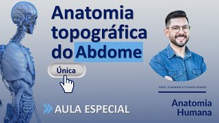 Anatomia do abdome  Irrigação e drenagem das visceras abdominais  Aula especial [upl. by Ymme]