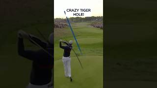 Tiger Woods INCREDIBLE skill to make birdie 😱 [upl. by Homere206]