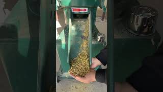 largest 200type feed pellet machine for household lighting does not block the plate and does [upl. by Arthur]