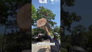 Watch Us Haul This Giant Tree Trunk [upl. by Noned]