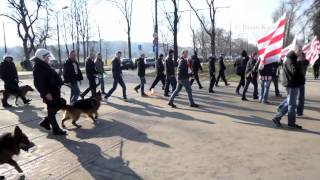 Cracovia fans  Derby Kraków 2322014 [upl. by Akisey945]