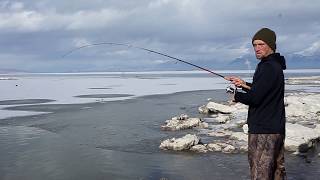 Utah Lake Fishing report 31 dec 2018 [upl. by Towrey]