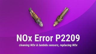 NOx amp Lambda sensors cleaning NOx repair [upl. by Einhpad767]