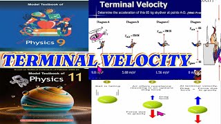 TERMINAL VELOCITY🌴🥀🌹PHYSICS🌟💯✨CLASS 11 class 9 12 federalNBF [upl. by Thaine]