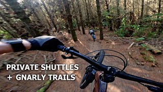 Riding the BEST Mountain Bike Trails  Redwoods  Private Shuttle [upl. by Ardnaeel161]