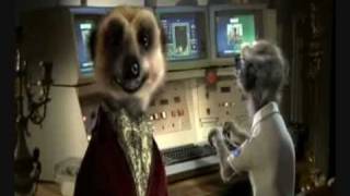 Compare The Meerkat Advert all in one Compare The Market Cheap Car Insurance [upl. by Leiria]