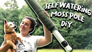 How To Make A Self Watering Moss Pole  DIY Moss Pole Tutorial [upl. by Amery558]