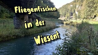 Fliegenfischen in der Wiesent Fränkische Schweiz [upl. by Ardie]