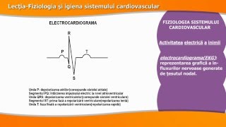 FIZIOLOGIA ȘI IGIENA SISTEMULUI CARDIOVASCULAR [upl. by Zetroc657]