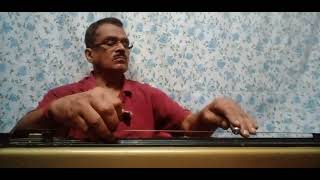 HIMERO RATE OI GAGANER DIP GULIRE RABINDRA SANGEEPLAYED BY ELECTRIC HAWAIIAN GUITAR [upl. by Glori21]