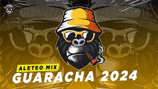 Guaracha Mix 2024 🔥Aleteo Zapateo Guaracha [upl. by Roberta682]