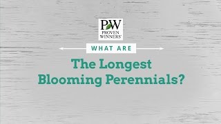 What are the Longest Blooming Perennials [upl. by Matthew]