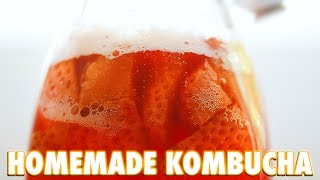 How To Make Kombucha At Home [upl. by Cowan886]