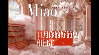 Miao塔羅占卜11月你的好消息，以及掃雷 [upl. by Petronille]