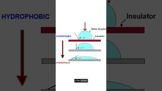 Hydrophobic vs Hydrophilic and the importance for the electrical insulators [upl. by Eilyah]