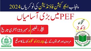 PEEF Jobs 2024  Government Latest Jobs 2024  Application Process Online [upl. by Litha]