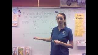 Mrs Yepiz Fractions and Decimals on the Number Line [upl. by Jae301]