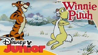 Kleine Abenteuer mit Winnie Puuh  Tiggers Springerei  Disney Junior [upl. by Garibull4]