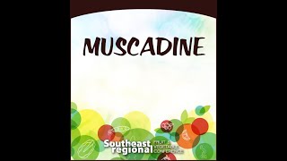 24 Muscadine Session [upl. by Orson]