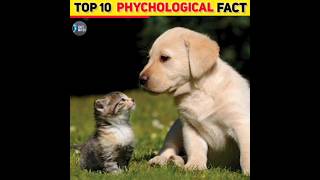 Top 10 Phychological Fact Intresting Fact In Hindi Phychological Fact phycological shortfacts [upl. by Faythe]