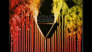 vitalic  flashmob [upl. by Lexerd]