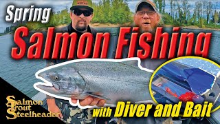 Spring Salmon Fishing with Diver and Bait [upl. by Ecinhoj]