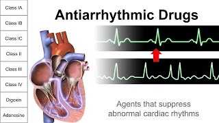 Antiarrhythmic Drugs [upl. by Namruht]