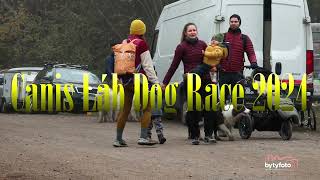 Canis Láb Dog Race 2024 [upl. by Kery]