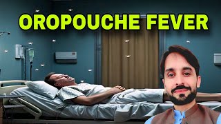 Oropouche Fever  Oropouche Virus  MLT Hub with kamran [upl. by Mccafferty]