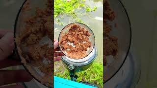 Câu cá tự nhiên p3 câucá fishing carpfishing xuhuong carp fishingvideo fish kawaii [upl. by Timofei]