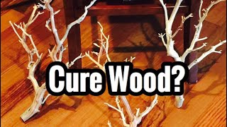 How to Cure Manzanita Braches amp Driftwood [upl. by Wappes202]