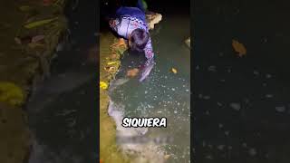 ¿Cómo consigue este hombre pescar peces en el estanque por la noche shortsvideo [upl. by Nohsad]