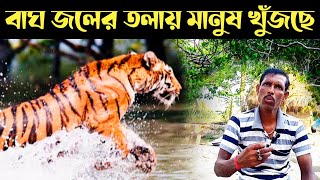 জলের মধ্যে বাঘের সঙ্গে ভয়ঙ্কর লড়াই  Sundarban Royal Bengal Tiger Attack [upl. by Domini]