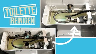 So wird die Toilette richtig sauber  WC Spülkasten entkalken amp unter dem Rand reinigen [upl. by Yeldarb]