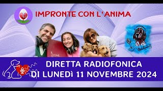 Diretta radiofonica di lunedì 11 Novembre 2024 [upl. by Adal]