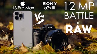 I expected BIGGER difference  iPhone 13 Pro Max vs Sony a7s III [upl. by Laurin]