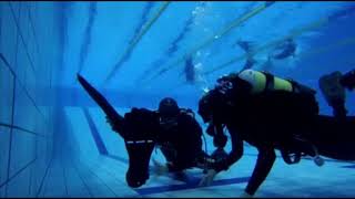 Buoyancy test of Apeks RK3 and RK3  Mares Flexa DS boots 5mm [upl. by Lundgren]