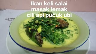 IKAN KELI SALAI MASAK LEMAK CILI API PUCUK UBI MENU BERBUKA ramadhan9 [upl. by Accemahs]